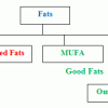 classification of fats