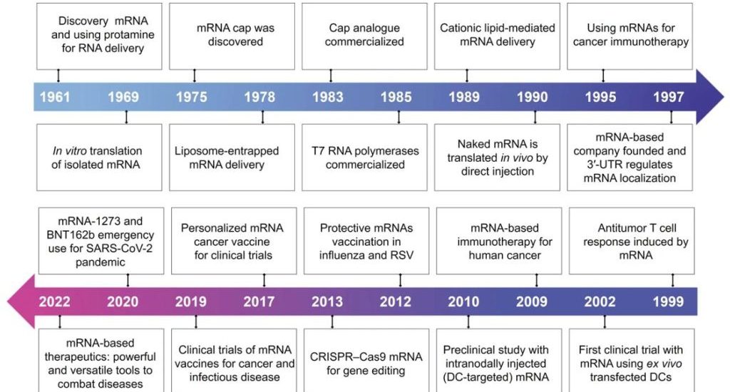 Key discoveries and advances in mRNA-based therapeutics